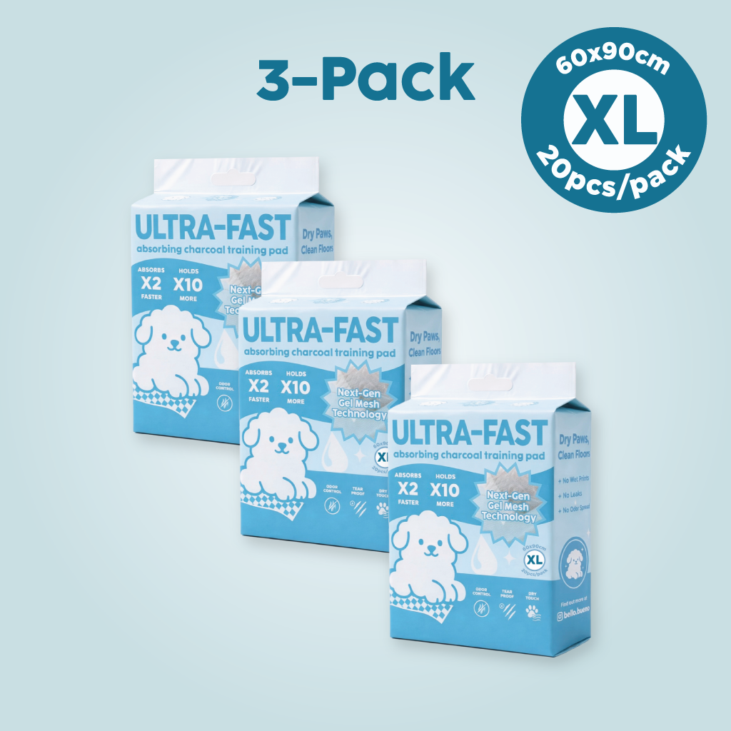 XL Size | 3-Pack Bundle | Bello Bueno Pads