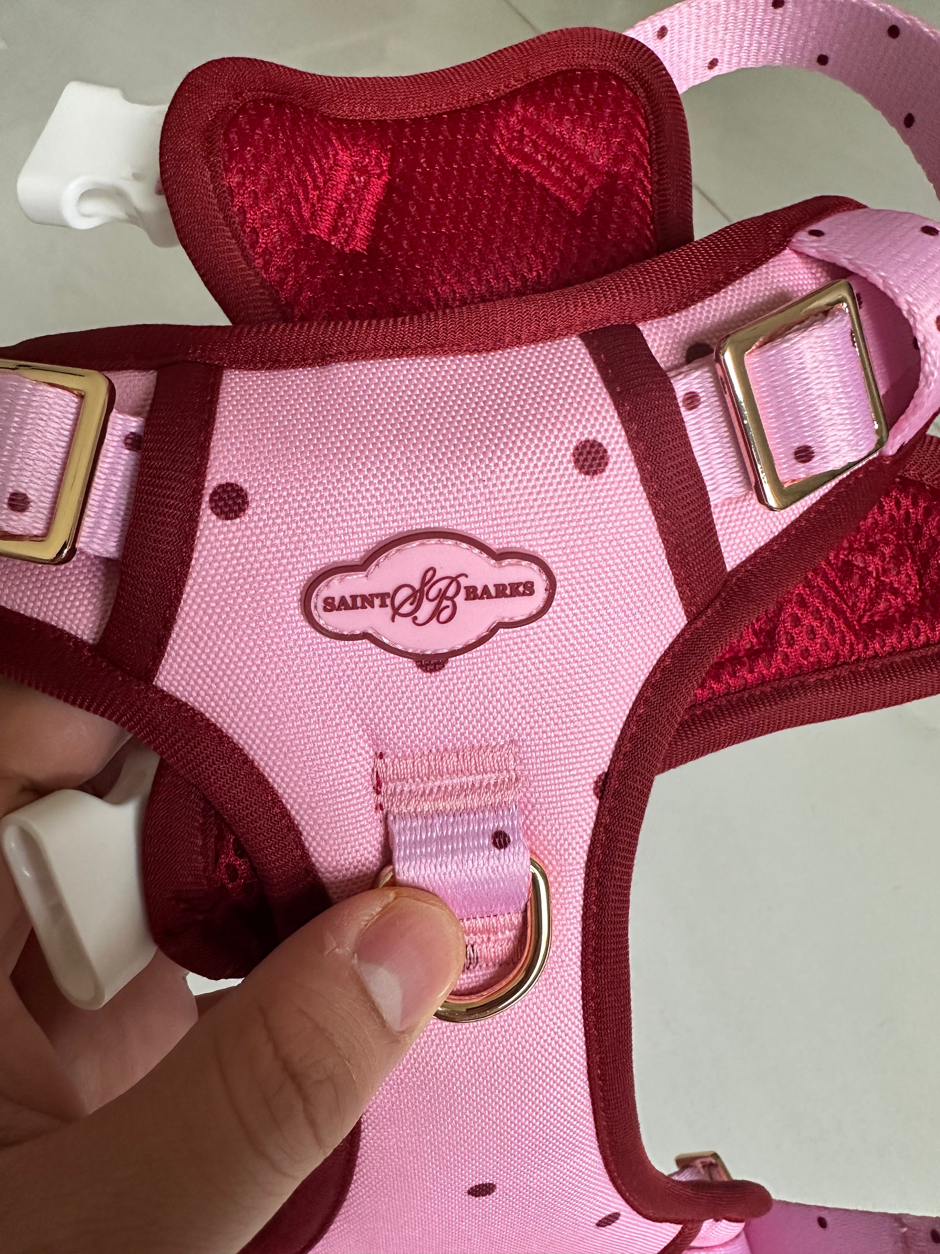 Saint Barks Adjustable Trail Dog Harness